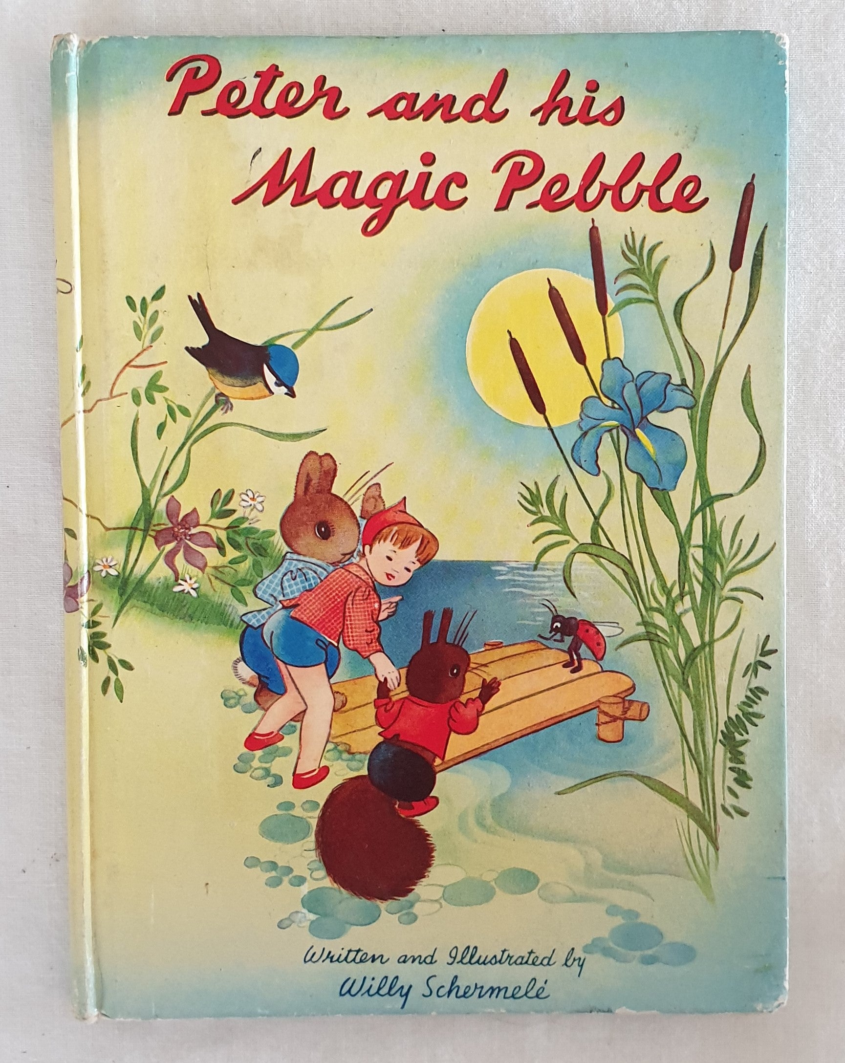 Peter and his Magic Pebble by Willy Schermele