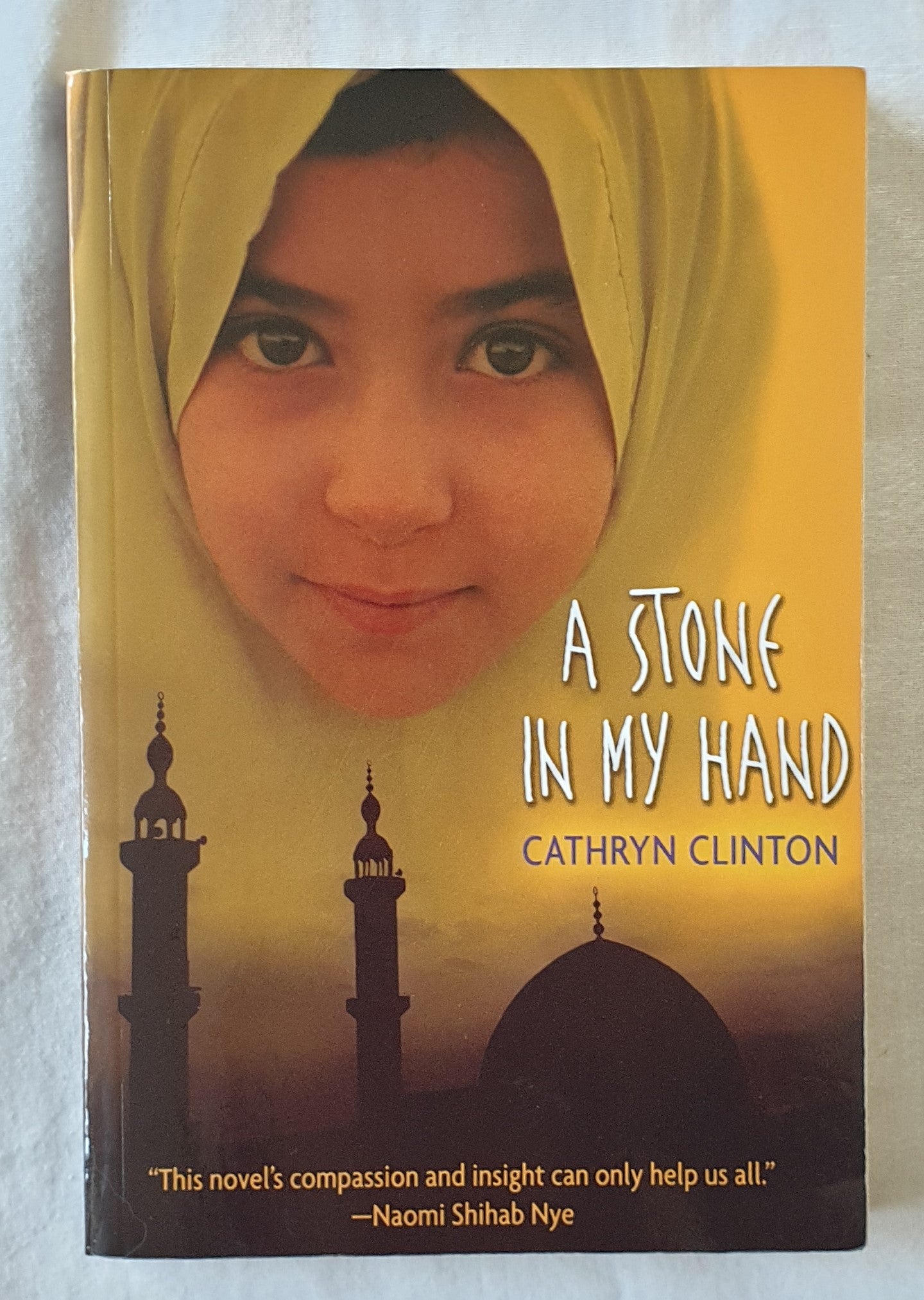 A Stone in My Hand by Cathryn Clinton