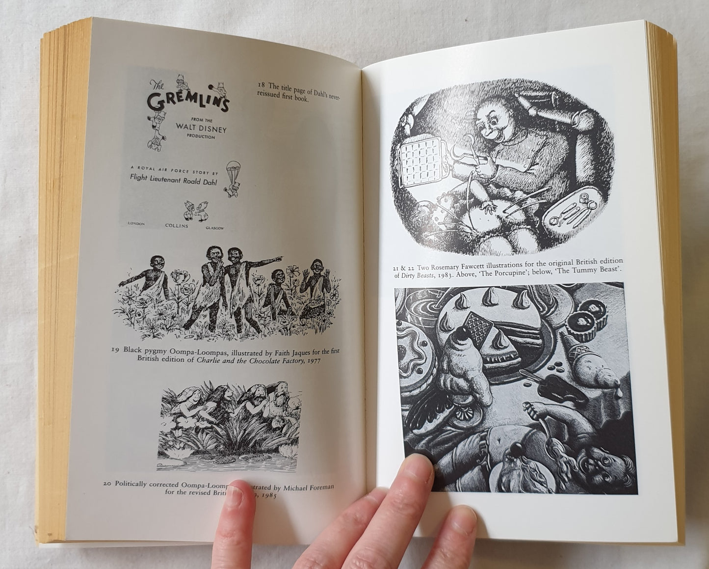Roald Dahl by Jeremy Treglown
