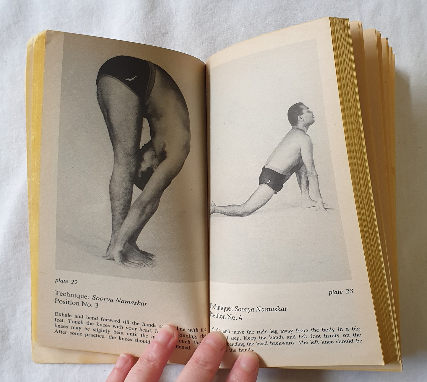 The Complete Illustrated Book of Yoga by Swami Vishnudevananda