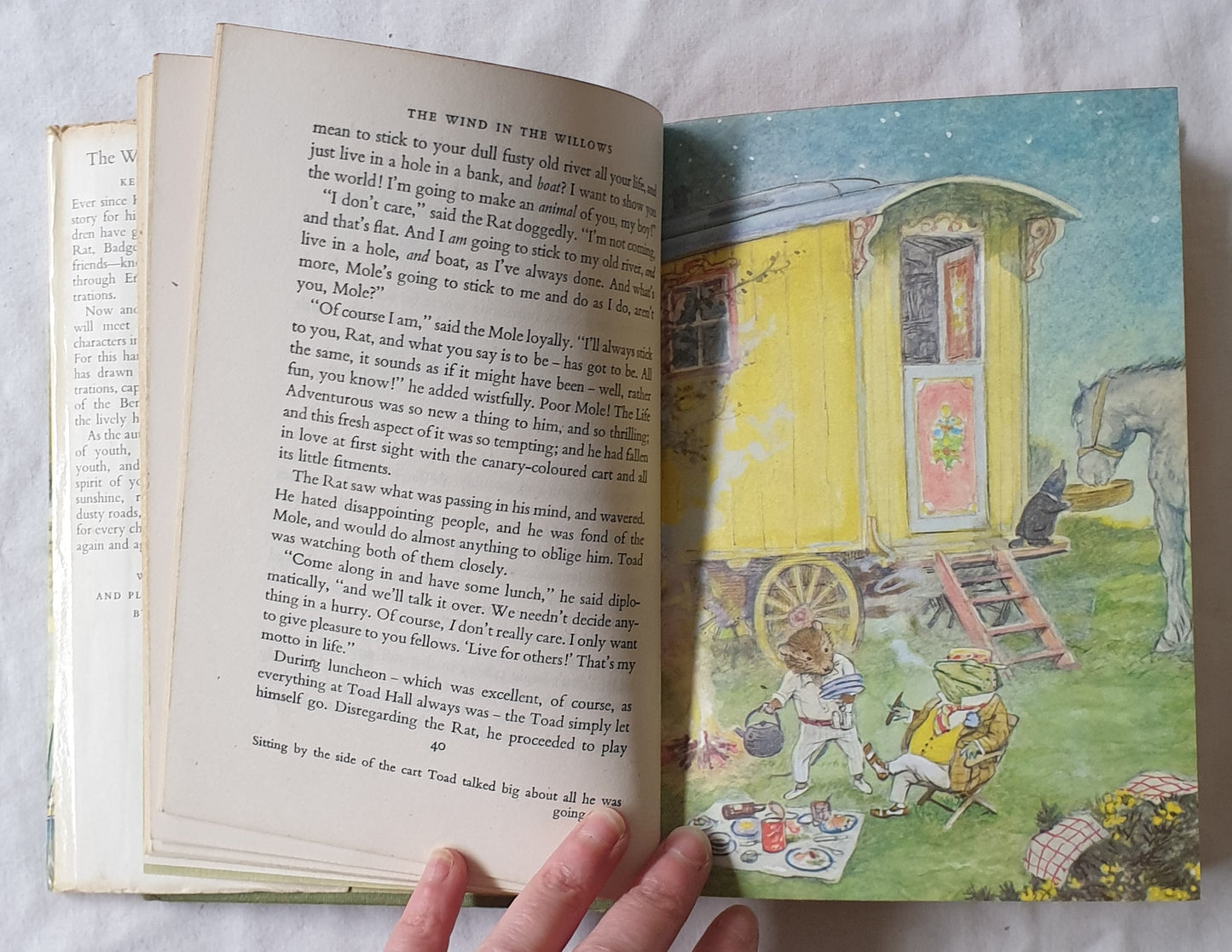 The Wind in the Willows  by Kenneth Grahame