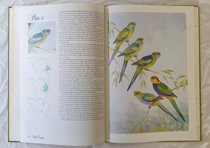 Australian Parrots and Cockatoos Paintings by Neville Cayley and J. H. Prince