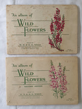 Load image into Gallery viewer, The Album of Wild Flowers  Series 1 and 2  Issued by W. D. &amp; H. O. Wills