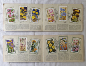 The Album of Wild Flowers by W. D. & H. O. Wills