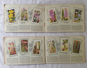 The Album of Wild Flowers by W. D. & H. O. Wills