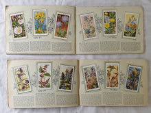 Load image into Gallery viewer, The Album of Wild Flowers by W. D. &amp; H. O. Wills