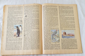 Children’s Abbreviated Australian Encyclopaedia by The Sanitarium Health Food Company