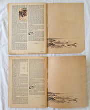 Load image into Gallery viewer, Children’s Abbreviated Australian Encyclopaedia by The Sanitarium Health Food Company