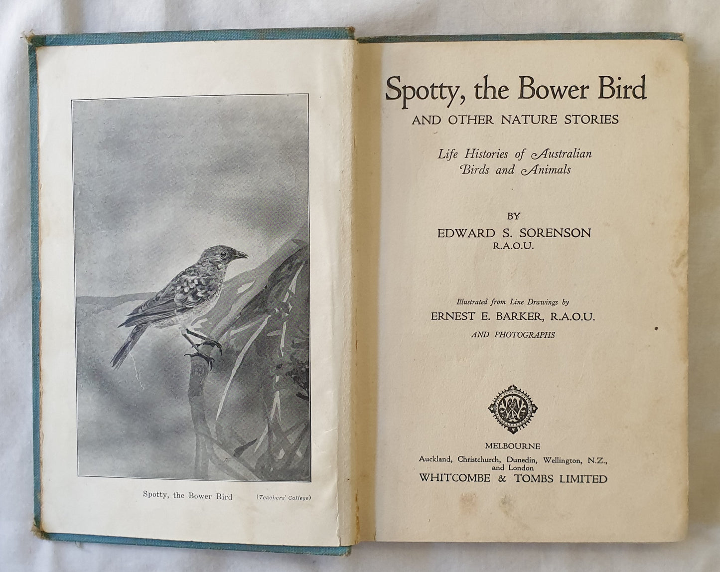 Spotty, the Bower Bird  And Other Nature Stories  by Edward S. Sorenson  illustrations by Ernest E. Barker