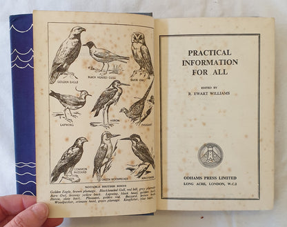 Practical Information For All  by R. Ewart Williams