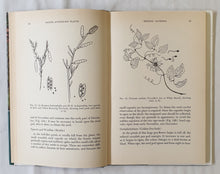 Load image into Gallery viewer, Native Australian Plants by A. M. Blombery