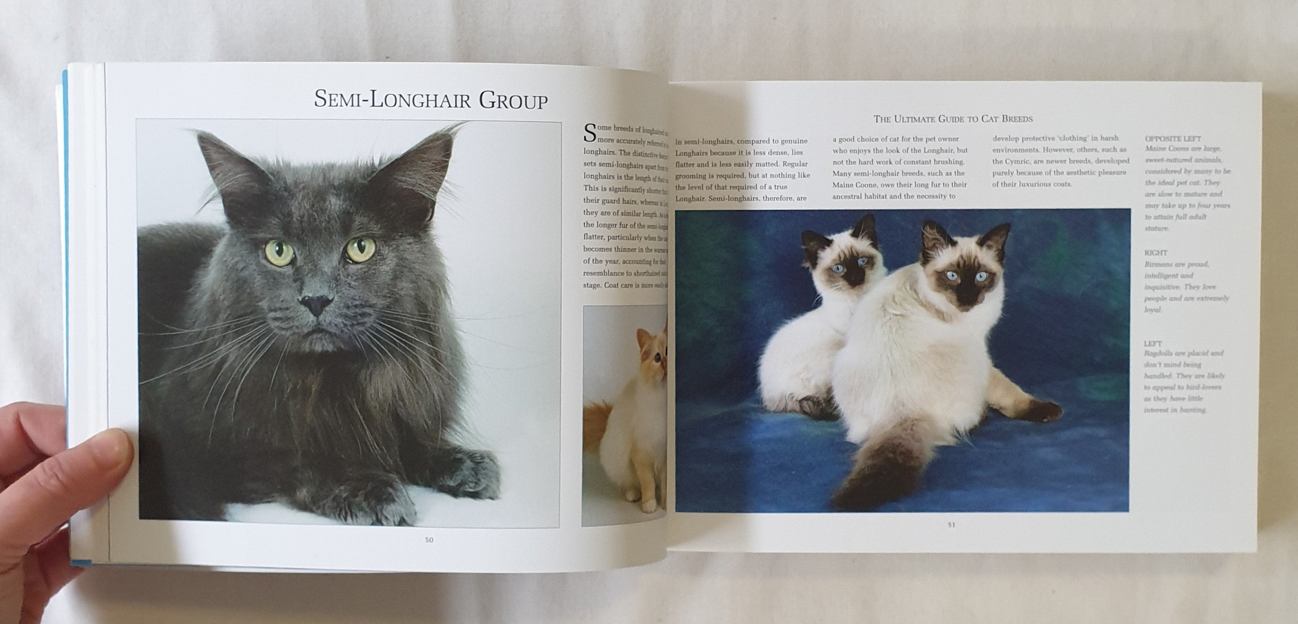 Rare　Cat　Guide　by　Ultimate　The　Books　–　Morgan's　to　Louisa　Breeds　Somerville