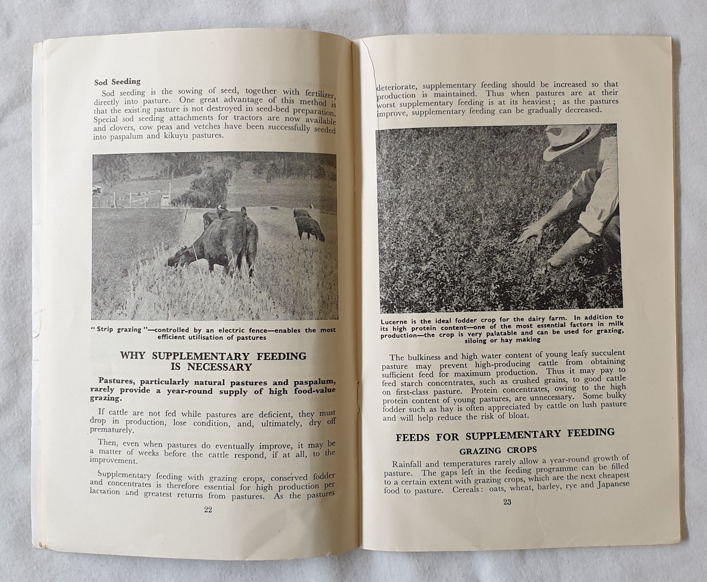 Feeding for Milk Production by G. L. McClymont and P. J. Mylrea