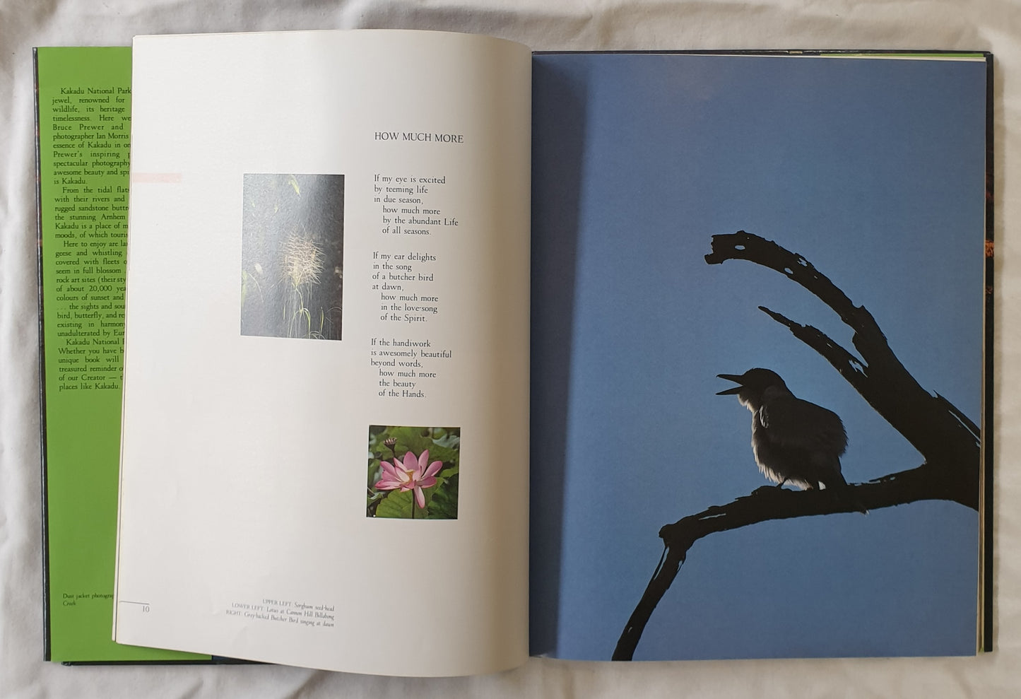 Kakadu Reflections by Bruce Prewer