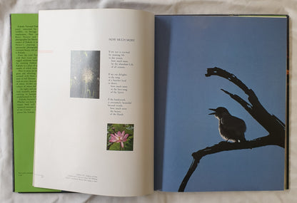 Kakadu Reflections by Bruce Prewer