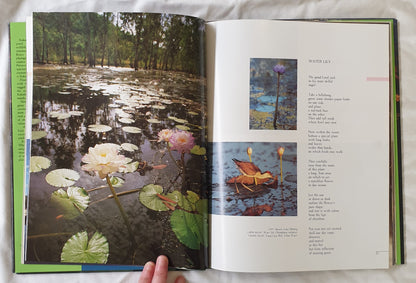 Kakadu Reflections by Bruce Prewer