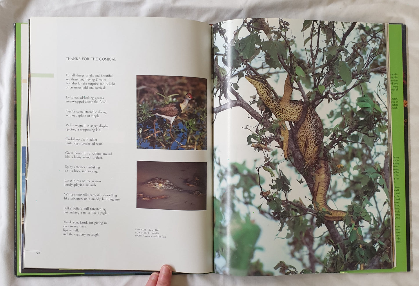 Kakadu Reflections by Bruce Prewer