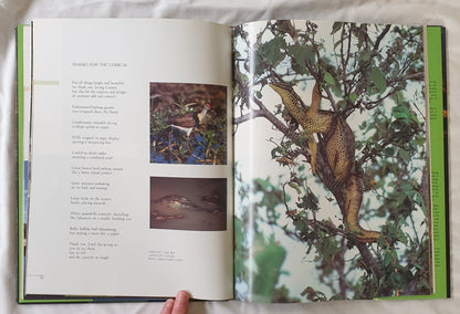 Kakadu Reflections by Bruce Prewer