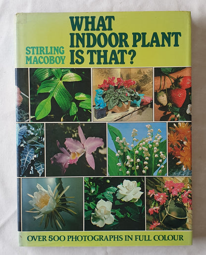 What Indoor Plant is That? by Stirling Macoboy