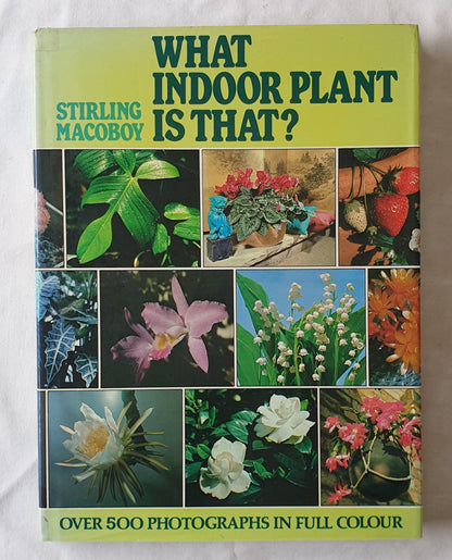 What Indoor Plant is That? by Stirling Macoboy