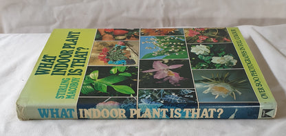 What Indoor Plant is That? by Stirling Macoboy