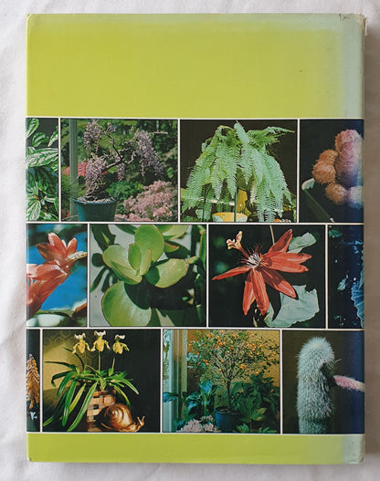 What Indoor Plant is That? by Stirling Macoboy