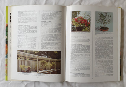 What Indoor Plant is That? by Stirling Macoboy