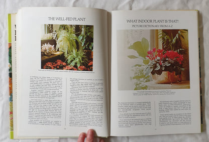 What Indoor Plant is That? by Stirling Macoboy