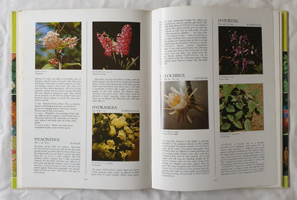 What Indoor Plant is That? by Stirling Macoboy