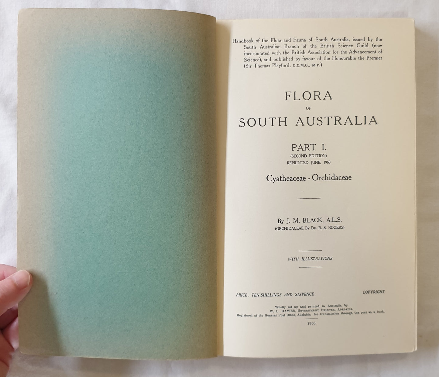 Flora of South Australia by J. M. Black Part I (Second Edition) Reprinted June, 1960 Cyatheaceae – Orchidaceae