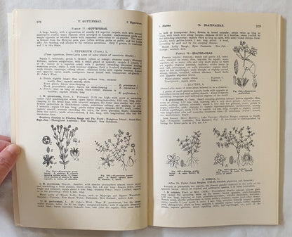 Flora of South Australia by J. M. Black