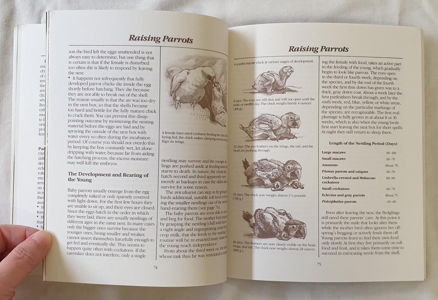 The New Parrot Handbook by Werner Lantermann