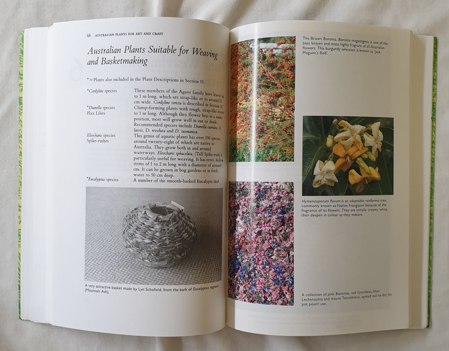 Australian Plants for Art and Craft by Gwen Elliot