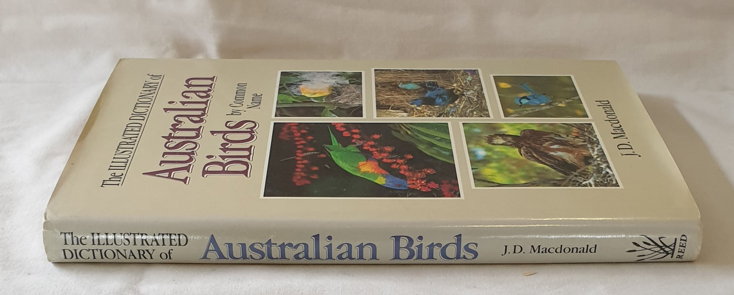 The Illustrated Dictionary of Australian Birds by Common Name by J. D. Macdonald