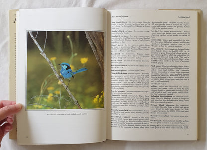 The Illustrated Dictionary of Australian Birds by Common Name by J. D. Macdonald