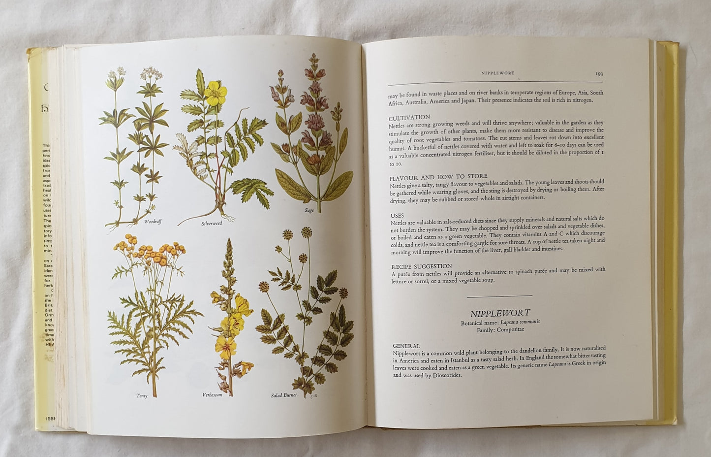 The Complete Book of Herbs and Spices by Claire Loewenfeld and Philippa Back