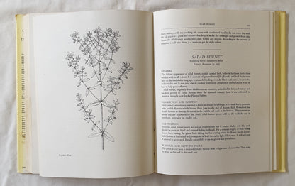 The Complete Book of Herbs and Spices by Claire Loewenfeld and Philippa Back