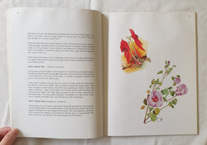 Northern Territory Wildlife by Malcolm Arnold