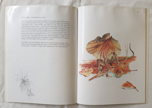 Northern Territory Wildlife by Malcolm Arnold