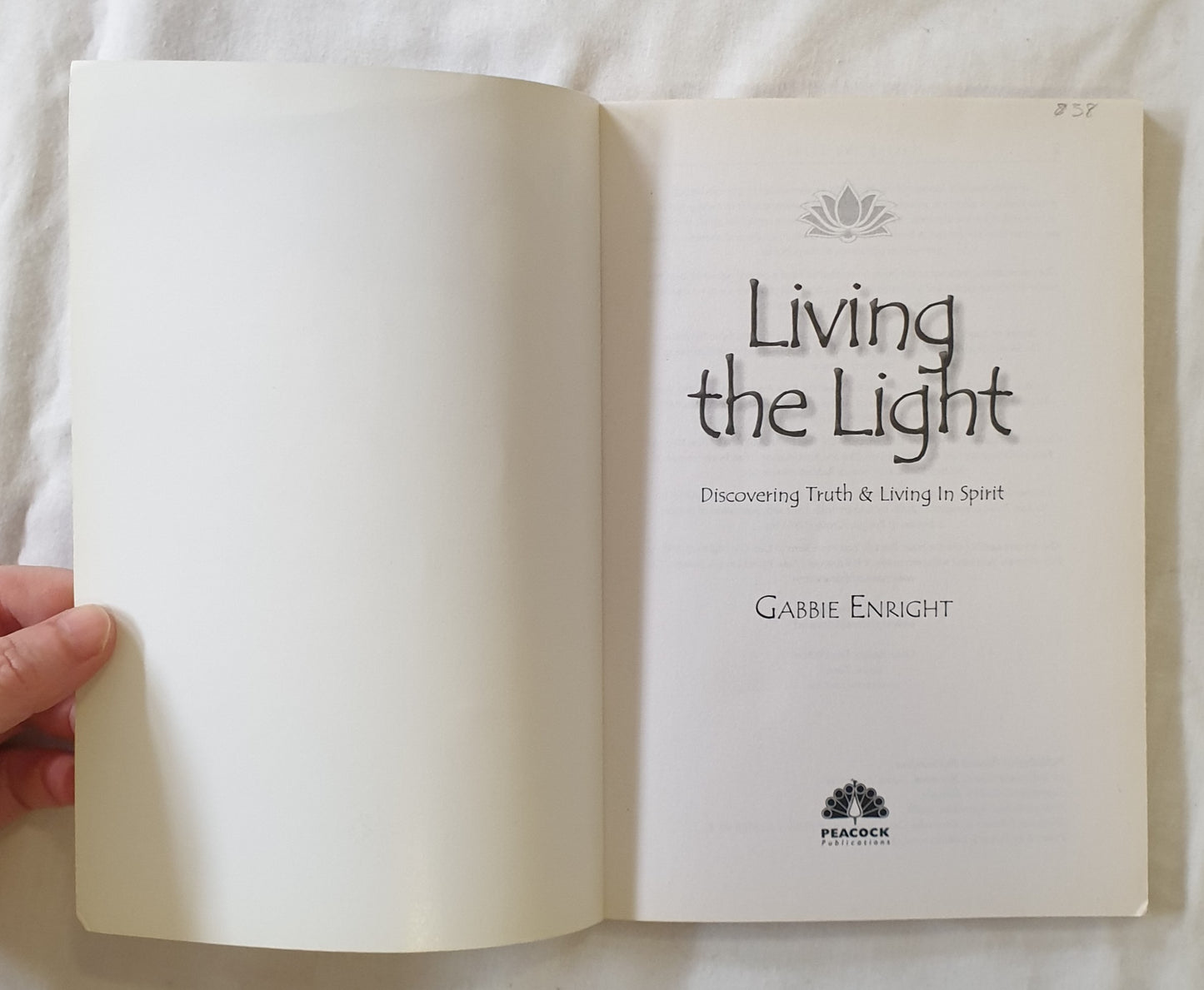 Living the Light by Gabbie Enright