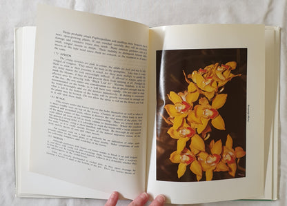 You Too Can Grow Orchids by Ralph Handcock and Margaret Smith