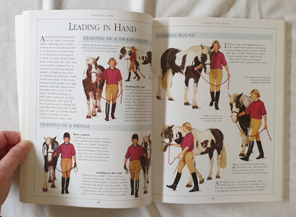 The Complete Horse Care Manual by Colin Vogel
