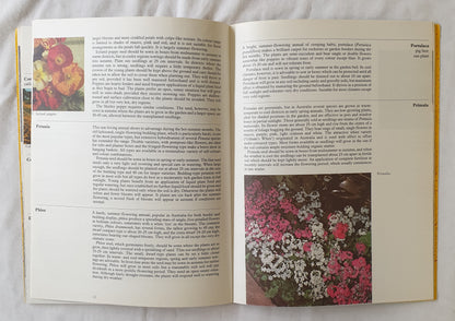 Annuals and Perennials by Marjorie Massey