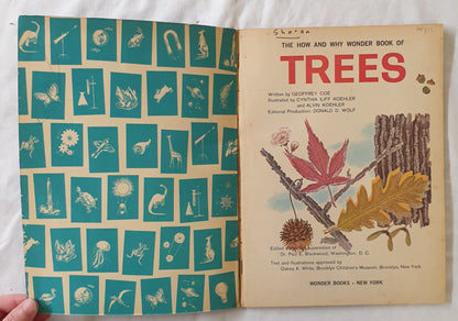 The How and Why Wonder Book of Trees by Geoffrey Coe