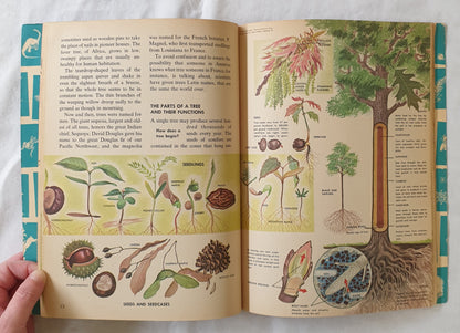 The How and Why Wonder Book of Trees by Geoffrey Coe