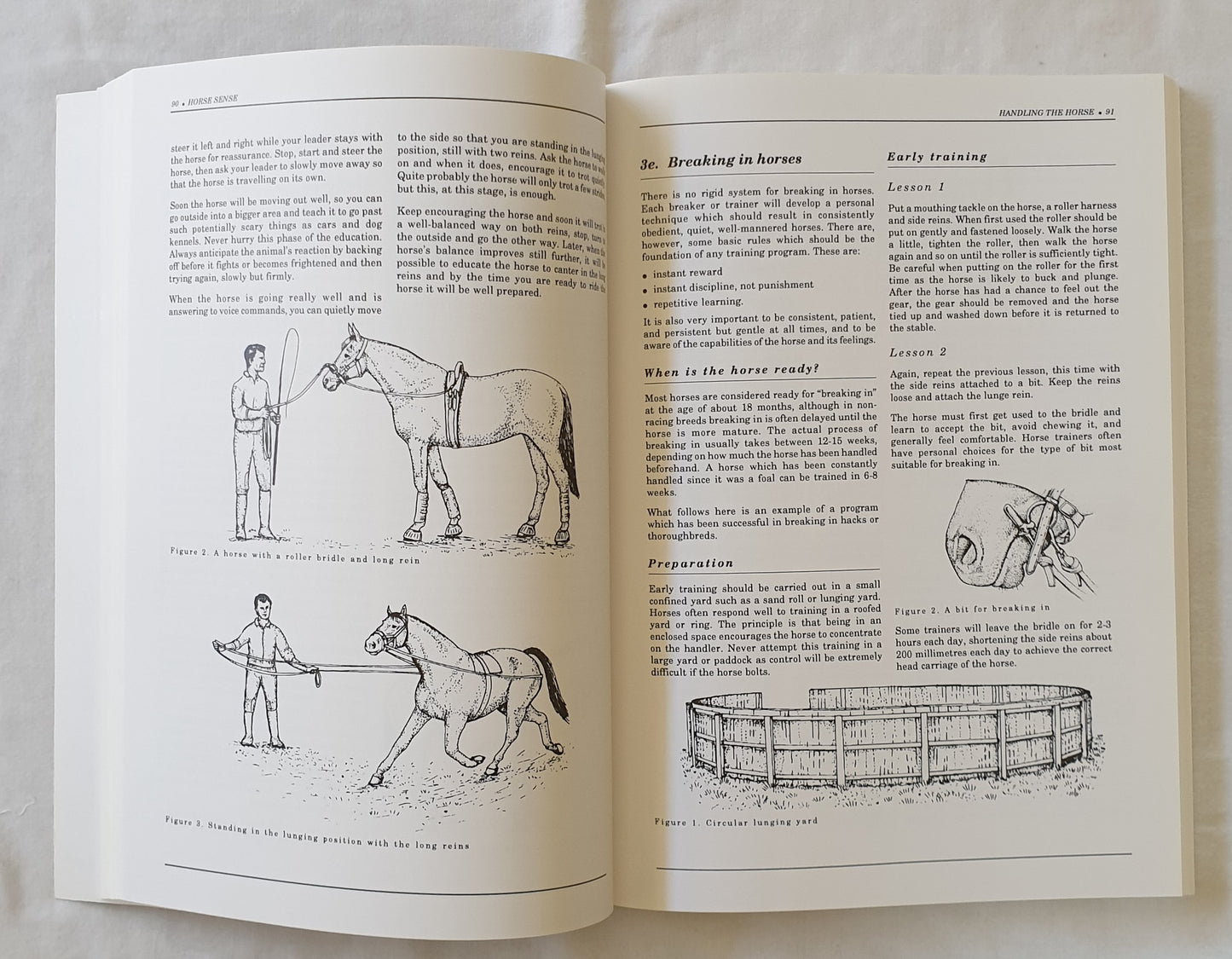 Horse Sense by Peter Huntington and Fran Cleland