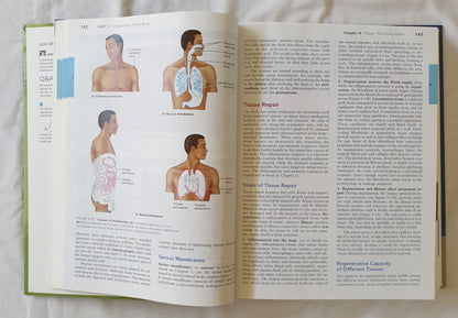 Human Anatomy & Physiology by Elaine N. Marieb and Katja Hoehn