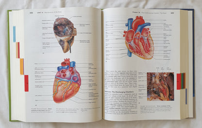 Human Anatomy & Physiology by Elaine N. Marieb and Katja Hoehn