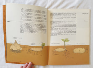 Bulbs For Your Garden by M. J. Monfries