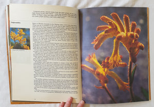 Bulbs For Your Garden by M. J. Monfries